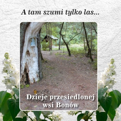 A tam szumi tylko las... Dzieje przesiedlonej wsi Bon&oacute;w