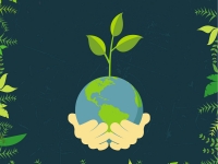 Ekologiczne inicjatywy Towarzystwa Przyjaci&oacute;ł Gołębia